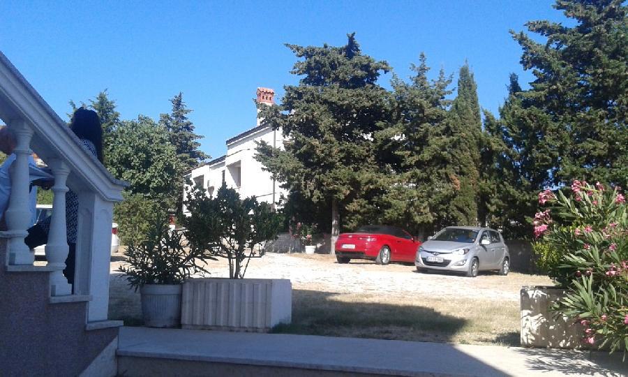 MEDULIN, ODLIČEN POSLOVNI OBJEKT