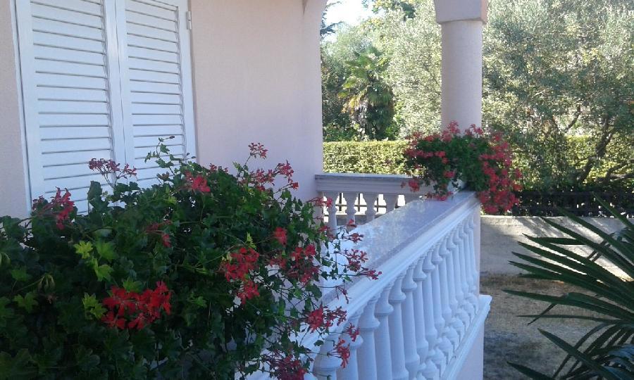 MEDULIN, ODLIČEN POSLOVNI OBJEKT