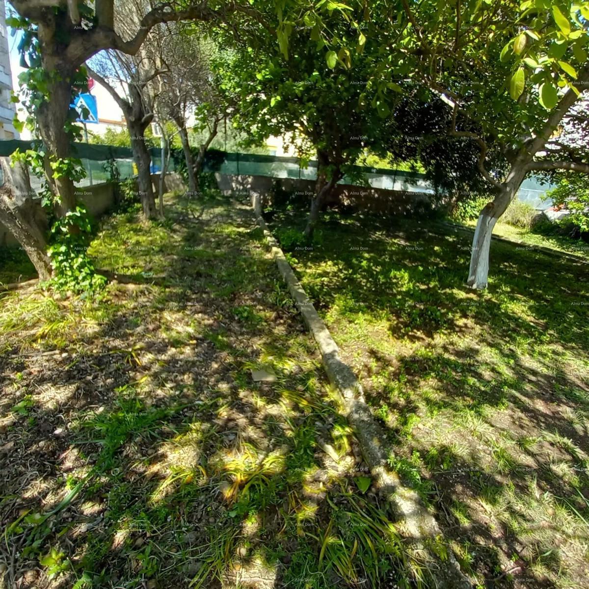 Pula! Prizemnica z velikim vrtom in teraso.