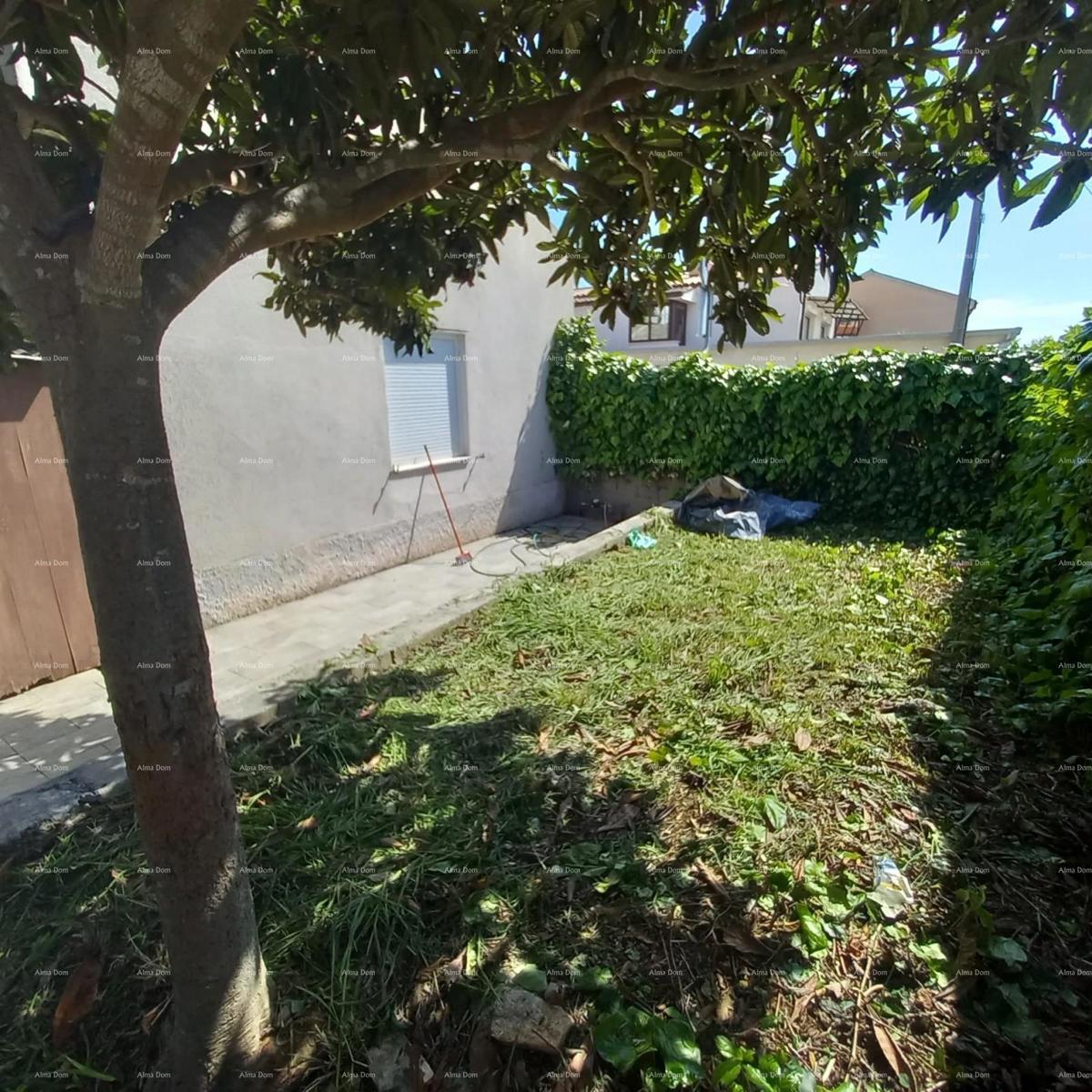 Pula! Prizemnica z velikim vrtom in teraso.