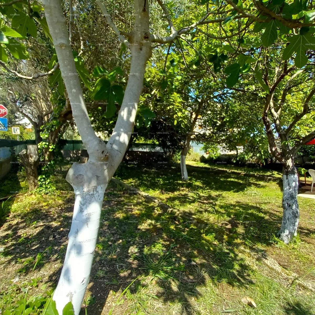 Pula! Prizemnica z velikim vrtom in teraso.