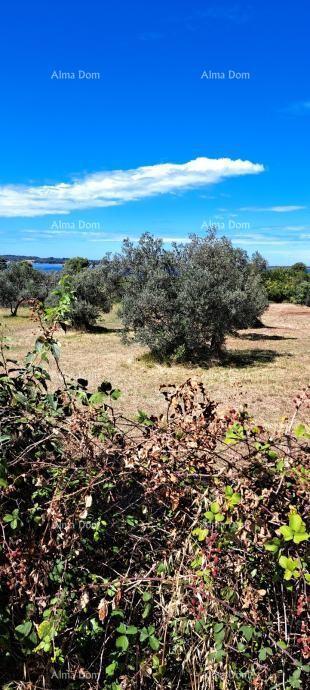 Fažana – kmetijsko zemljišče blizu morja