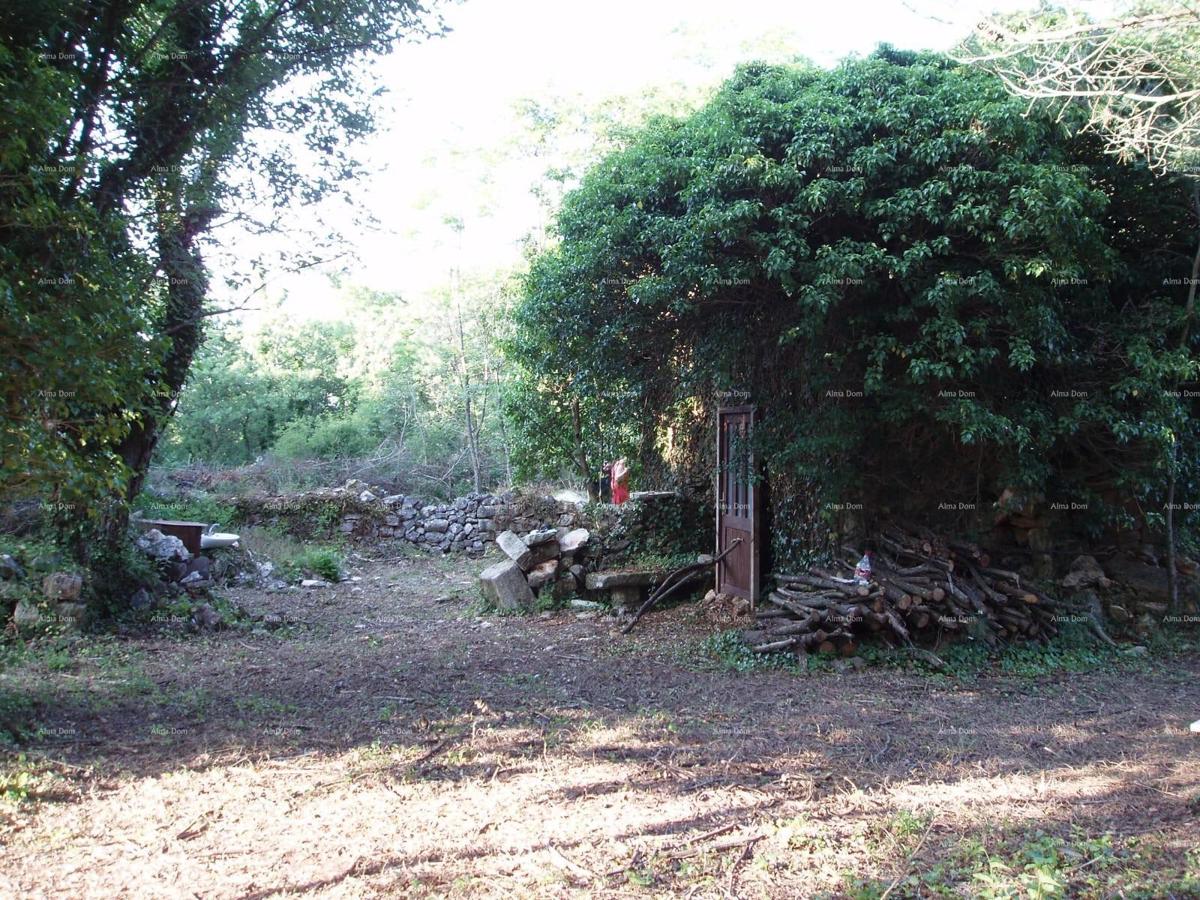 MARČANA – Hiša/ruševina z veliko parcelo