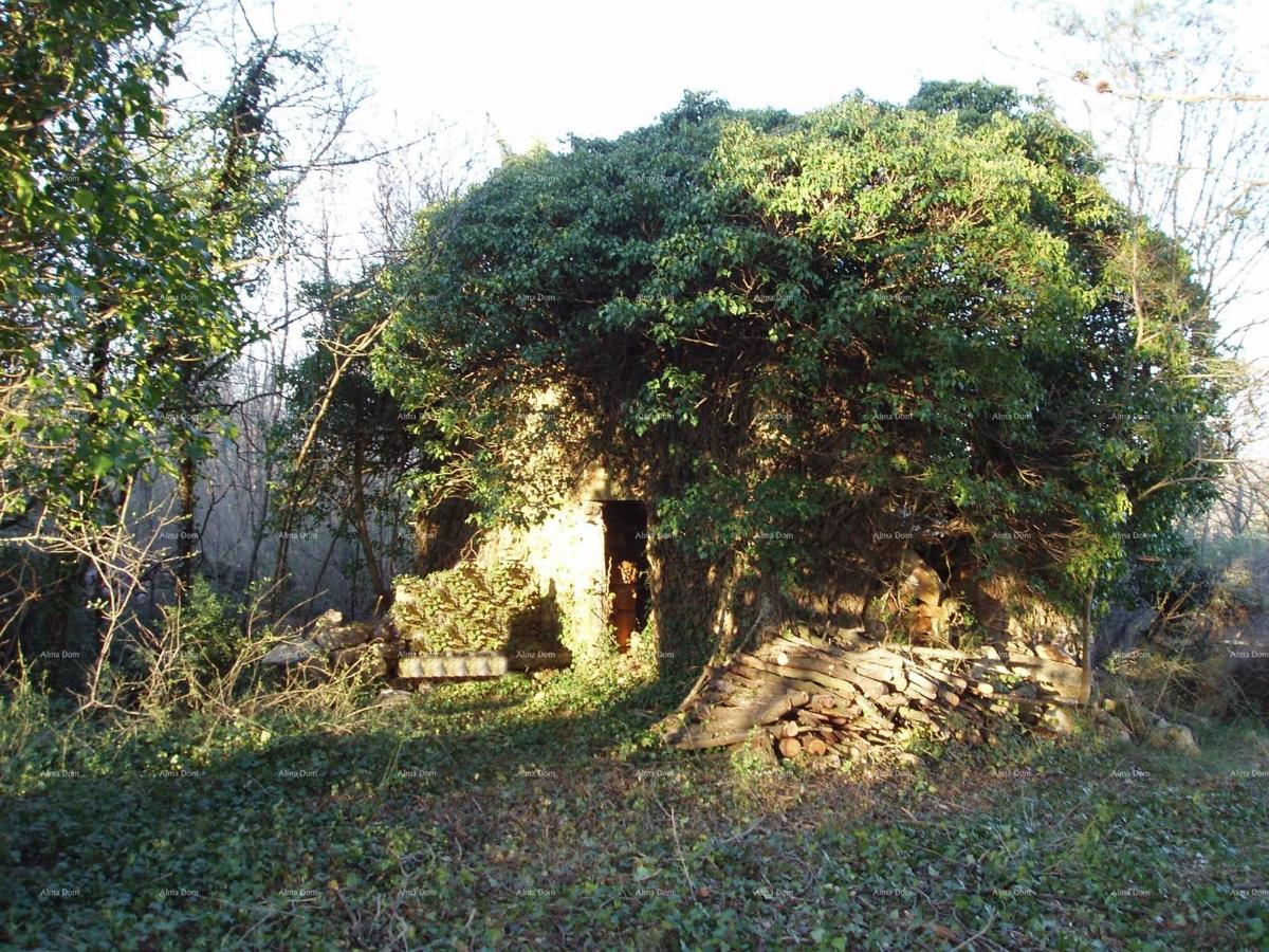 MARČANA – Hiša/ruševina z veliko parcelo
