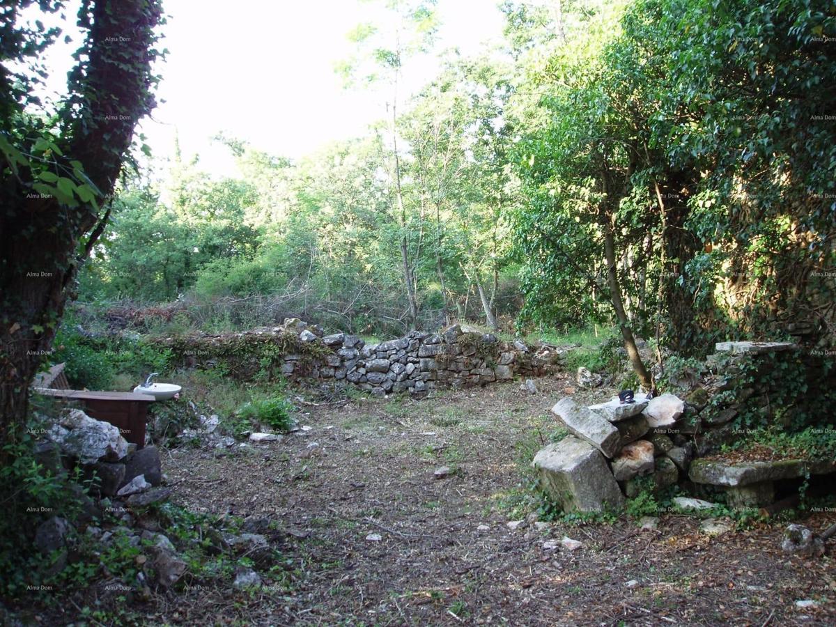 MARČANA – Hiša/ruševina z veliko parcelo