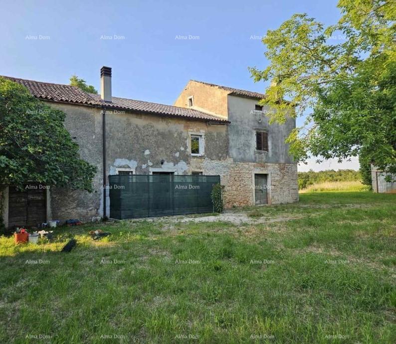 VIŠNJAN, KOMPLEKS S TREMI KAMENIM HIŠAMI IN VELIKIM ZEMLJIŠČEM