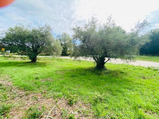 Gradbeno zemljišče Krnica