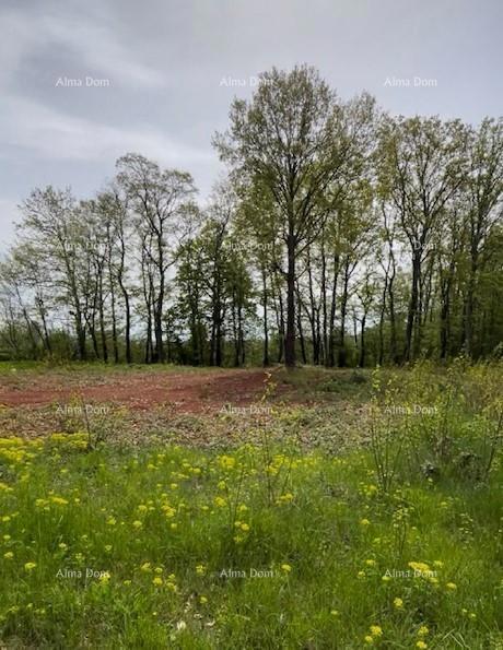 PRODAJA GRAĐEVINSKE PARCELE S PROJEKTOM – Barban (1.010 m²)