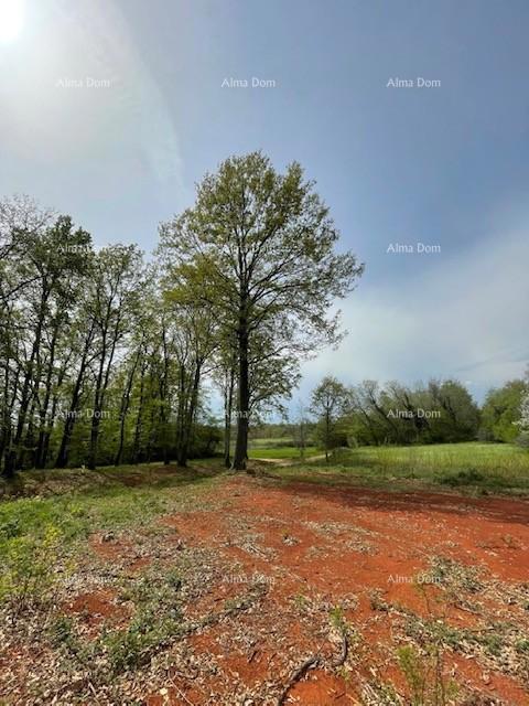 PRODAJA GRAĐEVINSKE PARCELE S PROJEKTOM – Barban (1.010 m²)