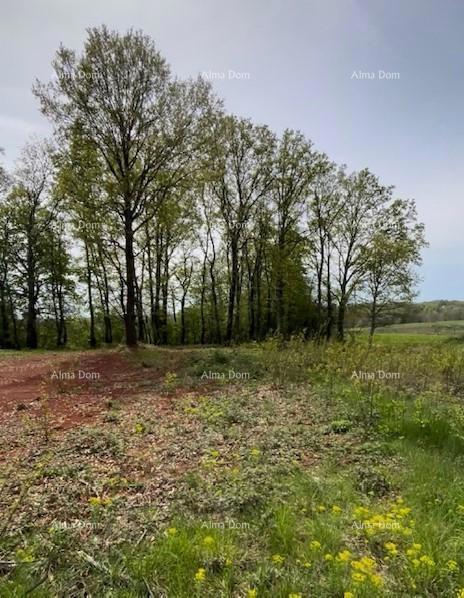 PRODAJA GRAĐEVINSKE PARCELE S PROJEKTOM – Barban (1.010 m²)