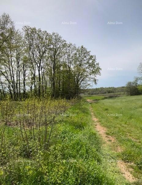 PRODAJA GRAĐEVINSKE PARCELE S PROJEKTOM – Barban (1.010 m²)