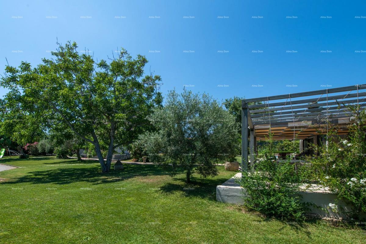 Prodaja - luksuzna vila s bazenom i dodatnim objektom, na prostrani parceli, Ližnjan!