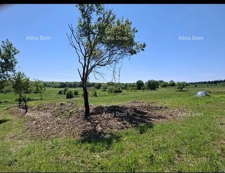 Građevinska parcela 1.200 m² + poljoprivredno zemljište 4.400 m² – Vižinada