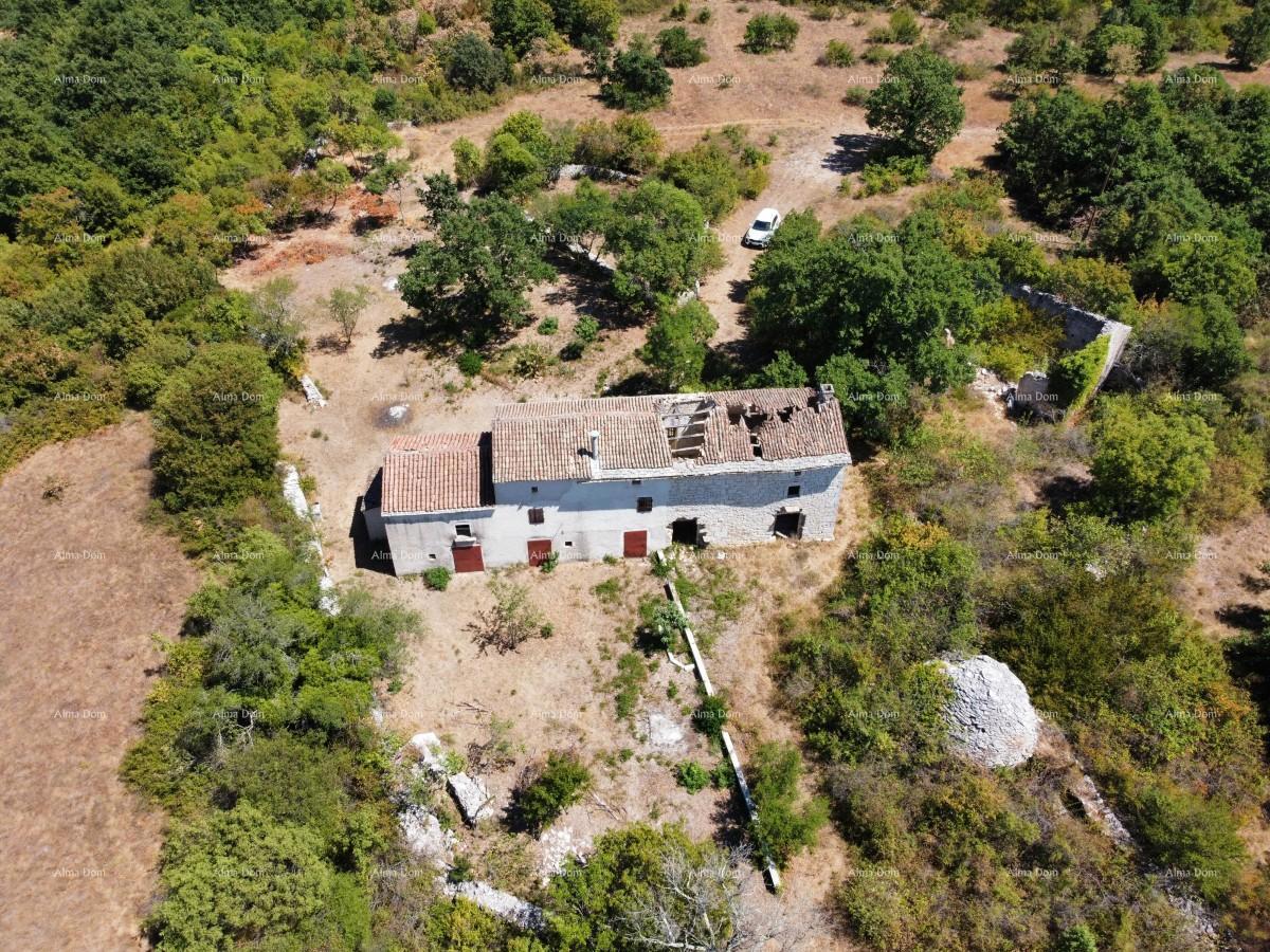 Posestvo pri Vodnjanu! Velika parcela 7154 m2!!