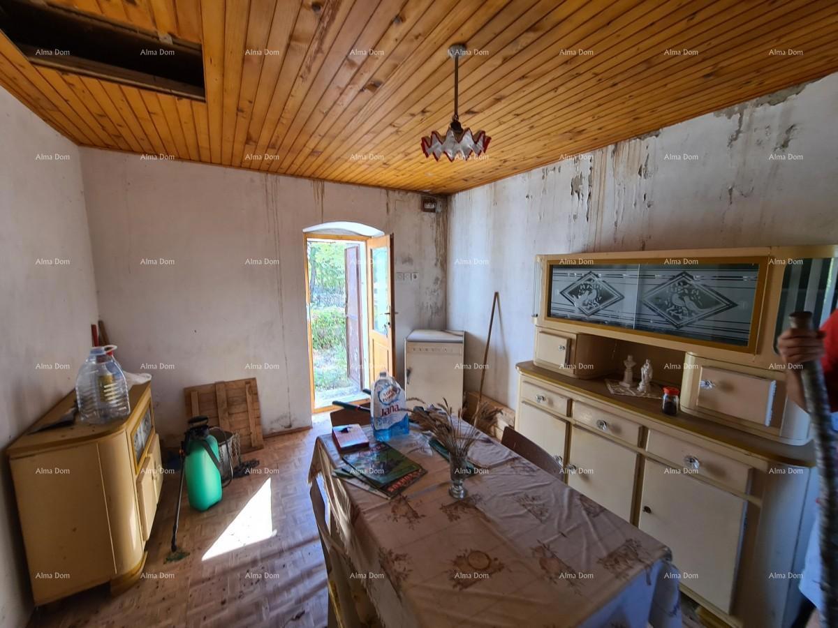 Posestvo pri Vodnjanu! Velika parcela 7154 m2!!