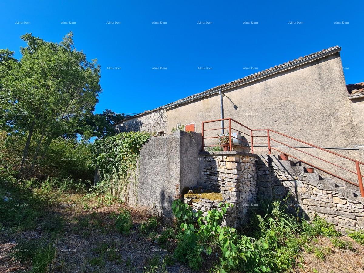 Posestvo pri Vodnjanu! Velika parcela 7154 m2!!