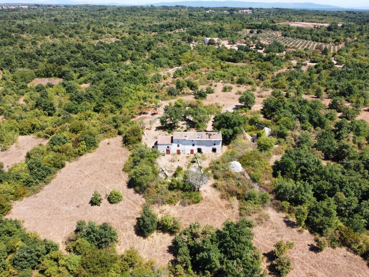 Posestvo pri Vodnjanu! Velika parcela 7154 m2!!