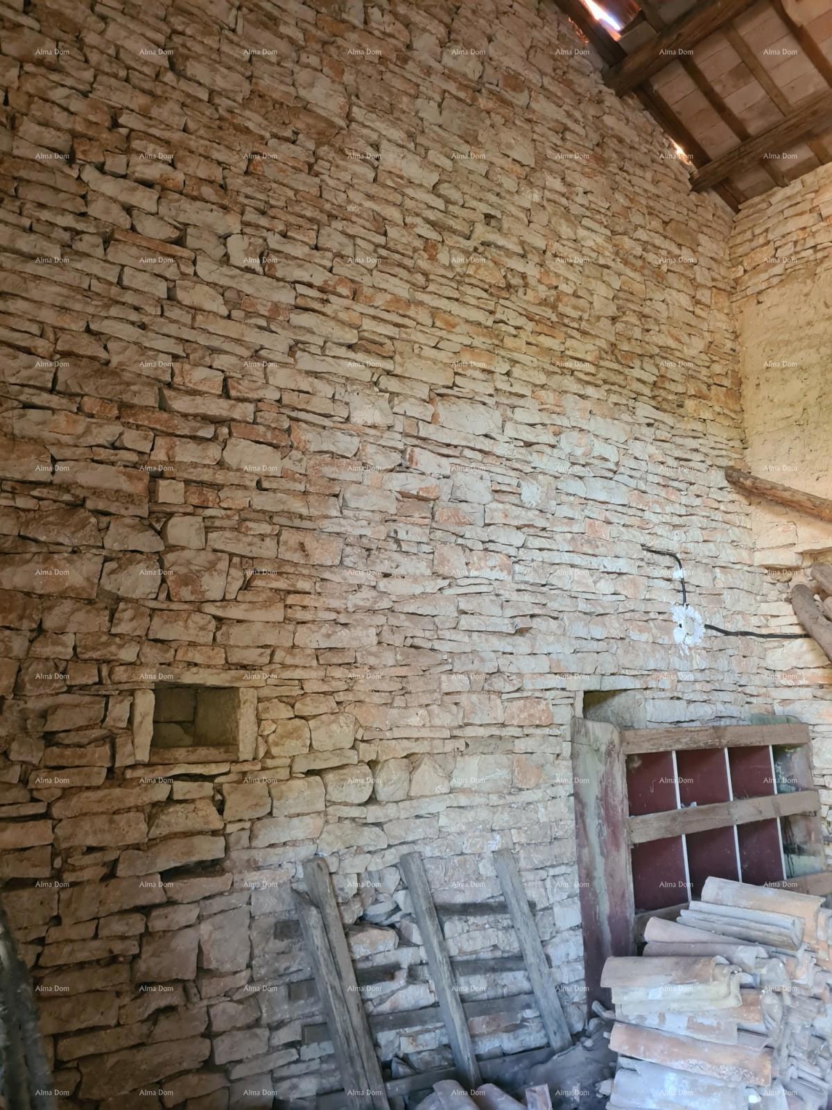 Posestvo pri Vodnjanu! Velika parcela 7154 m2!!