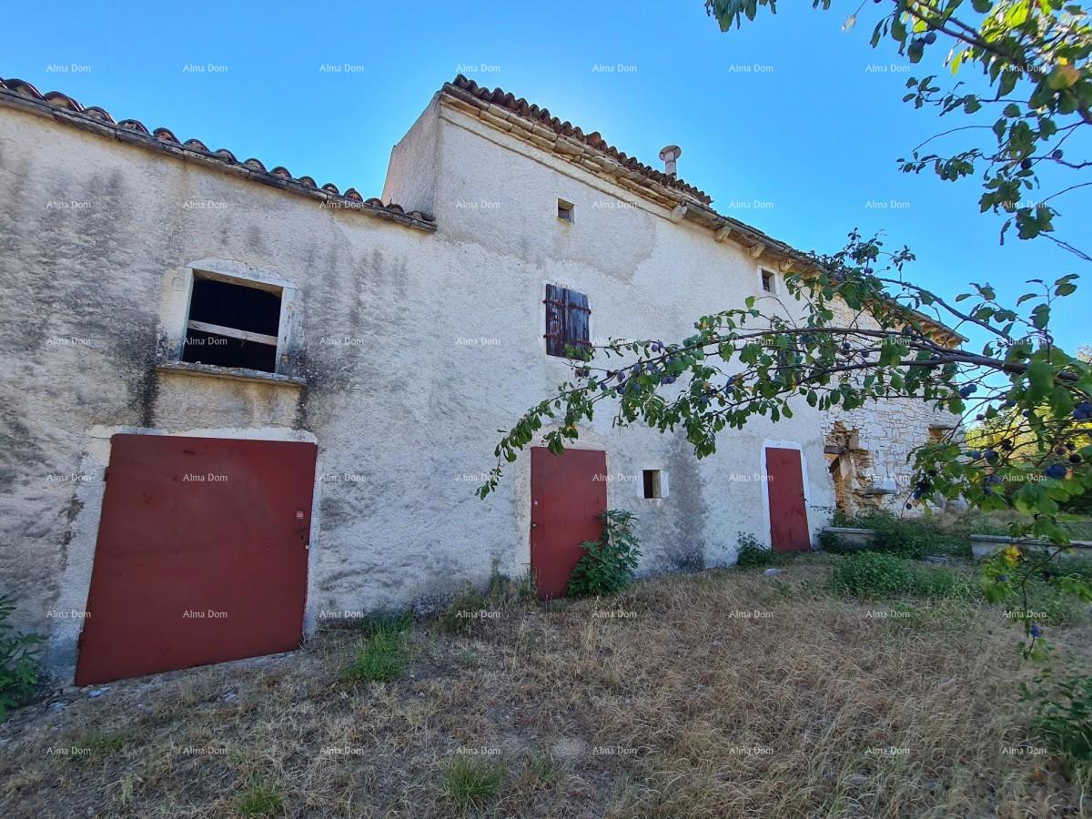 Posestvo pri Vodnjanu! Velika parcela 7154 m2!!