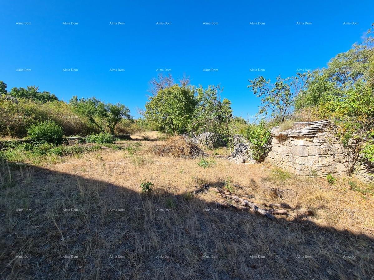 Posestvo pri Vodnjanu! Velika parcela 7154 m2!!