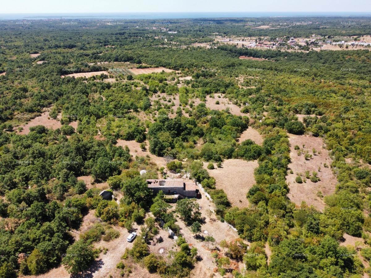 Posestvo pri Vodnjanu! Velika parcela 7154 m2!!