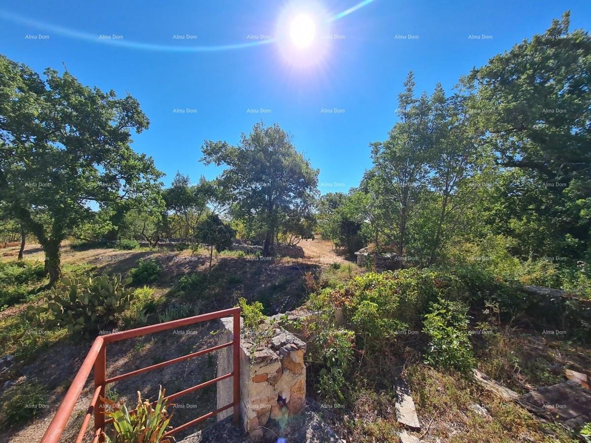 Posestvo pri Vodnjanu! Velika parcela 7154 m2!!