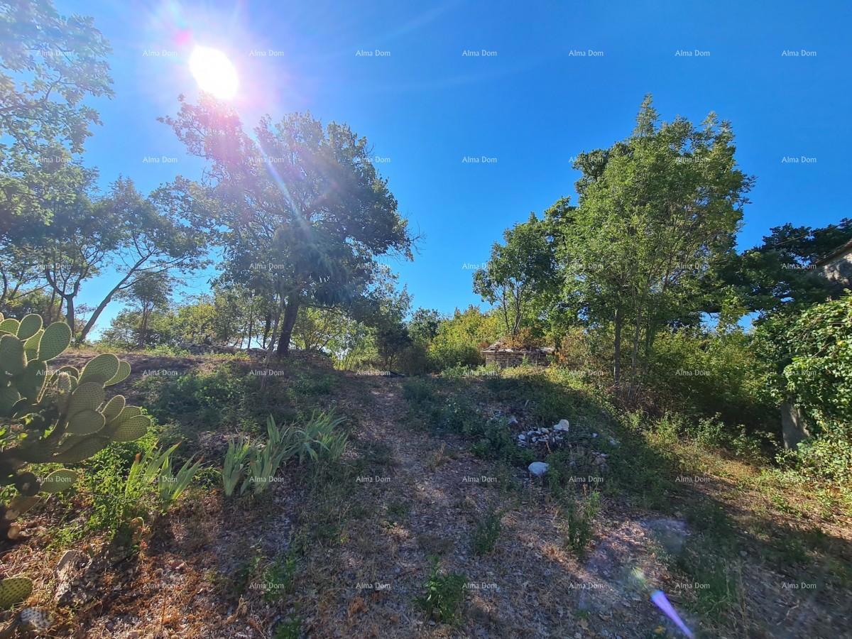 Posestvo pri Vodnjanu! Velika parcela 7154 m2!!