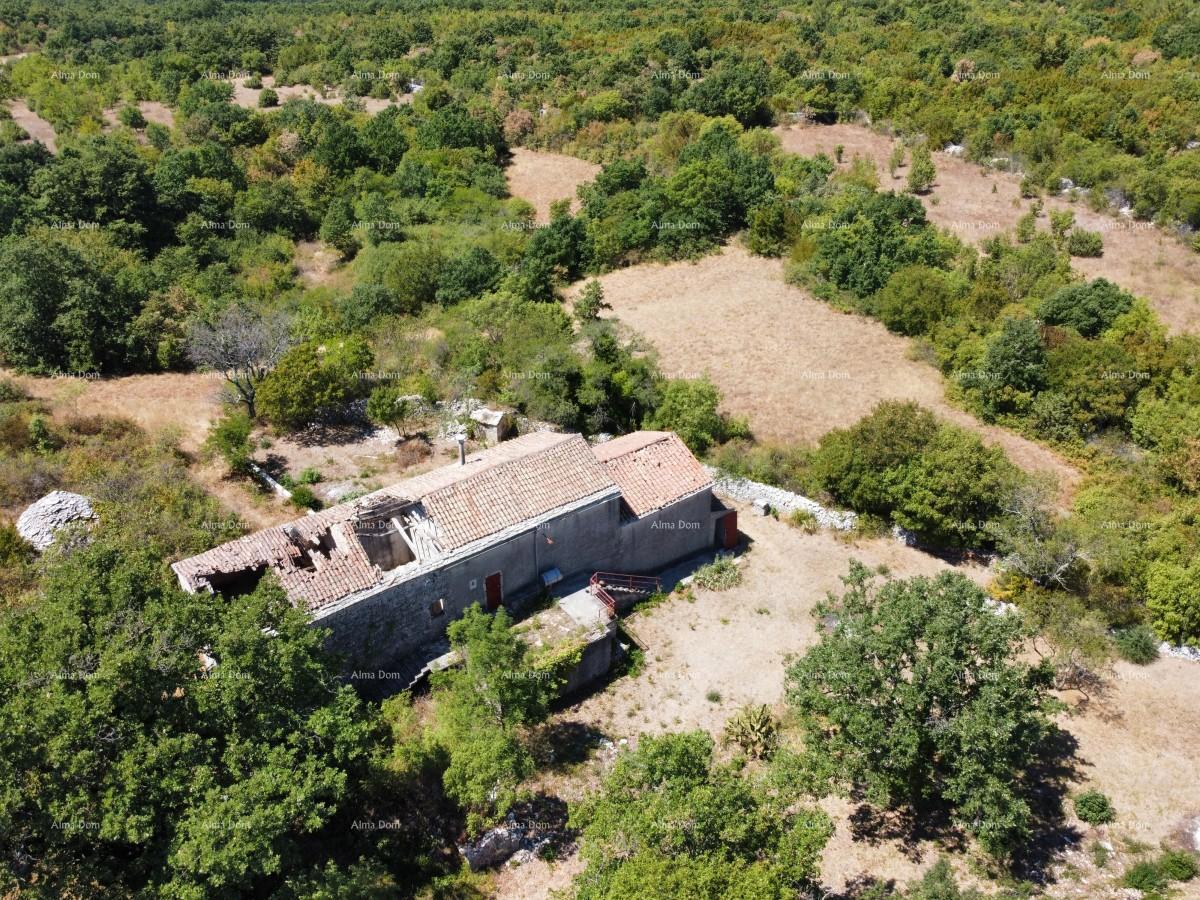 Posestvo pri Vodnjanu! Velika parcela 7154 m2!!