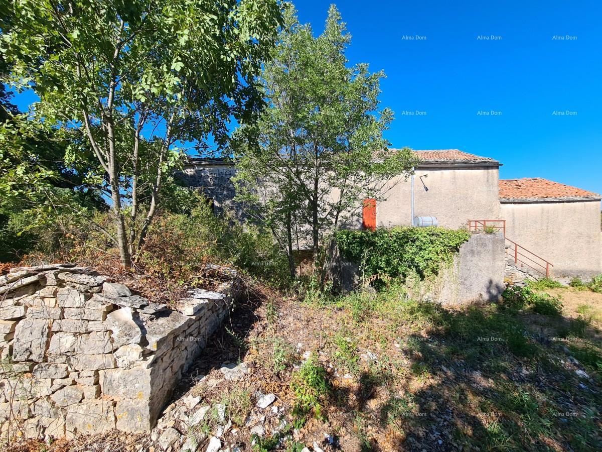 Posestvo pri Vodnjanu! Velika parcela 7154 m2!!