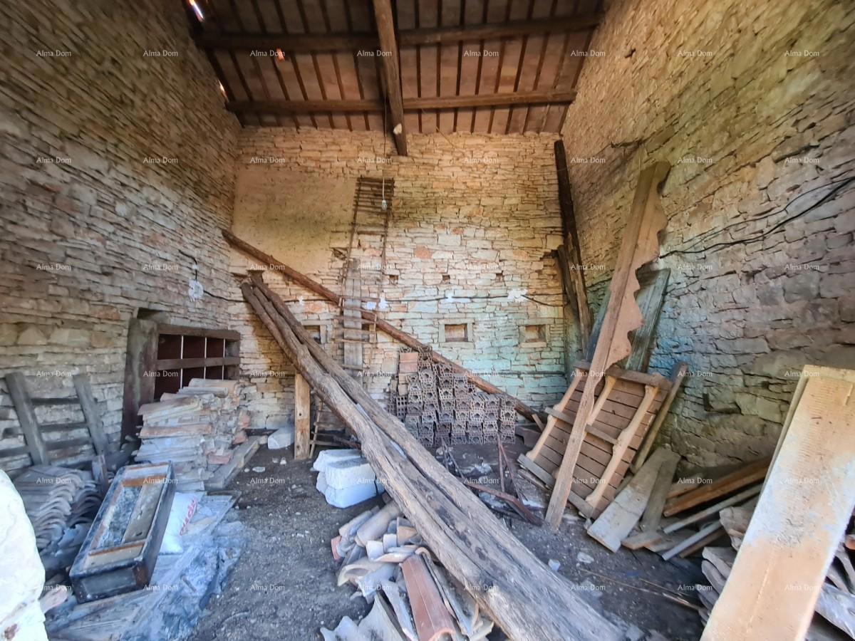 Posestvo pri Vodnjanu! Velika parcela 7154 m2!!