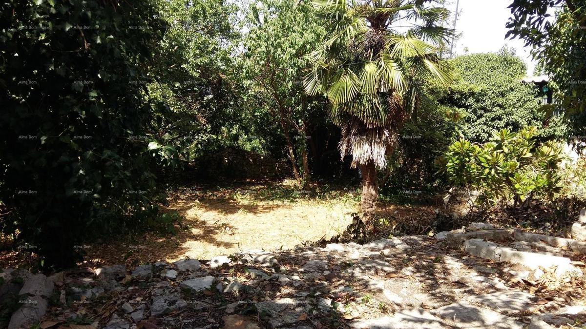 Odlična priložnost! Prodaja stanovanjske stavbe s poslovnim prostorom in vrtom, v centru Vodnjana!