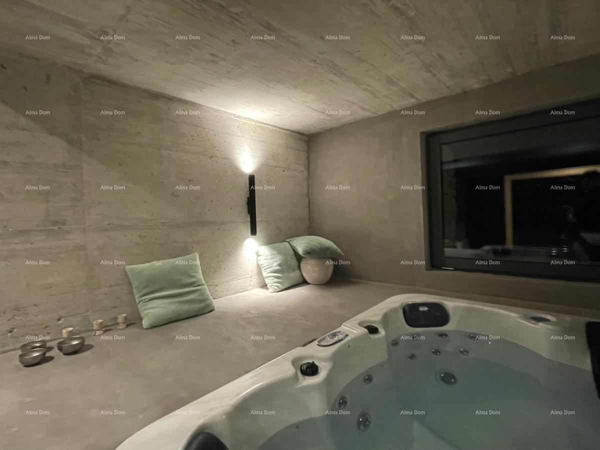 Luksuzna vila s pogledom na Motovun!