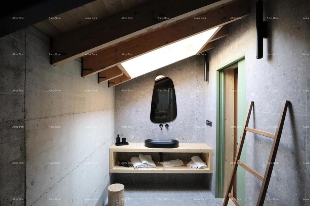 Luksuzna vila s pogledom na Motovun!