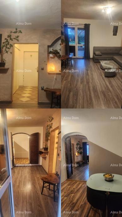 PRODAJA DVA STANA V PRIZIDJU HIŠE Z VRTOM