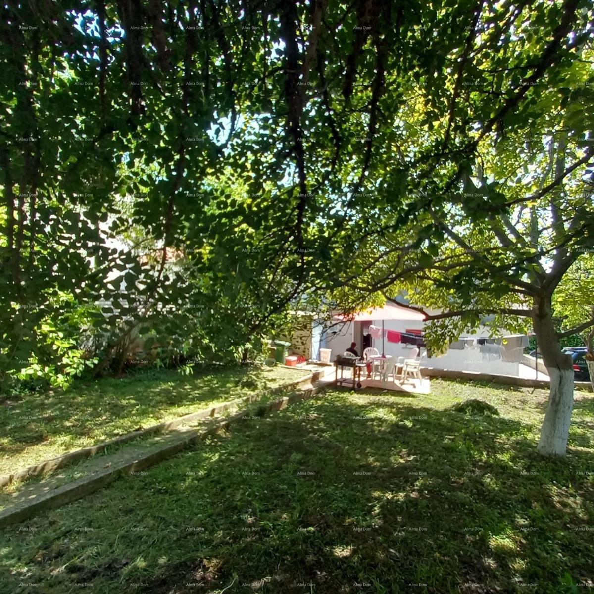 Pula! Prizemnica z velikim vrtom in teraso.