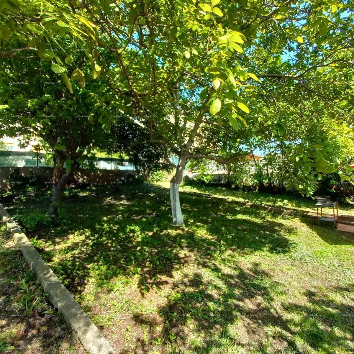 Pula! Prizemnica z velikim vrtom in teraso.