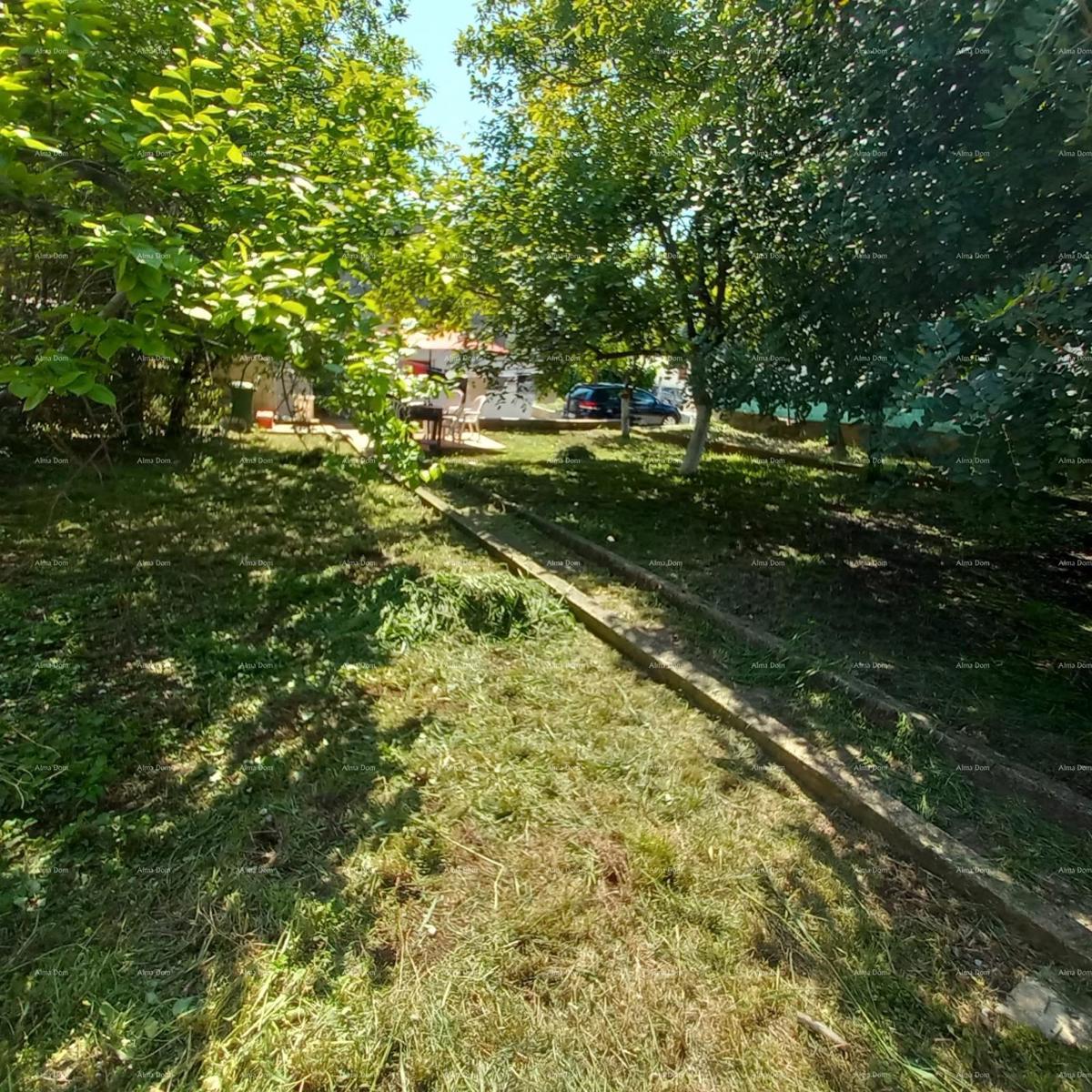 Pula! Prizemnica z velikim vrtom in teraso.