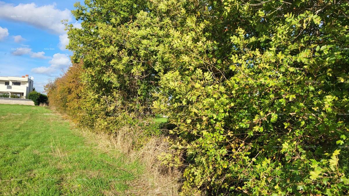 EKSKLUZIVNO! Gradbena parcela, Radeki Polje
