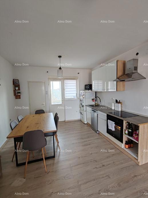 UMAG, prostoren stan 80 m²