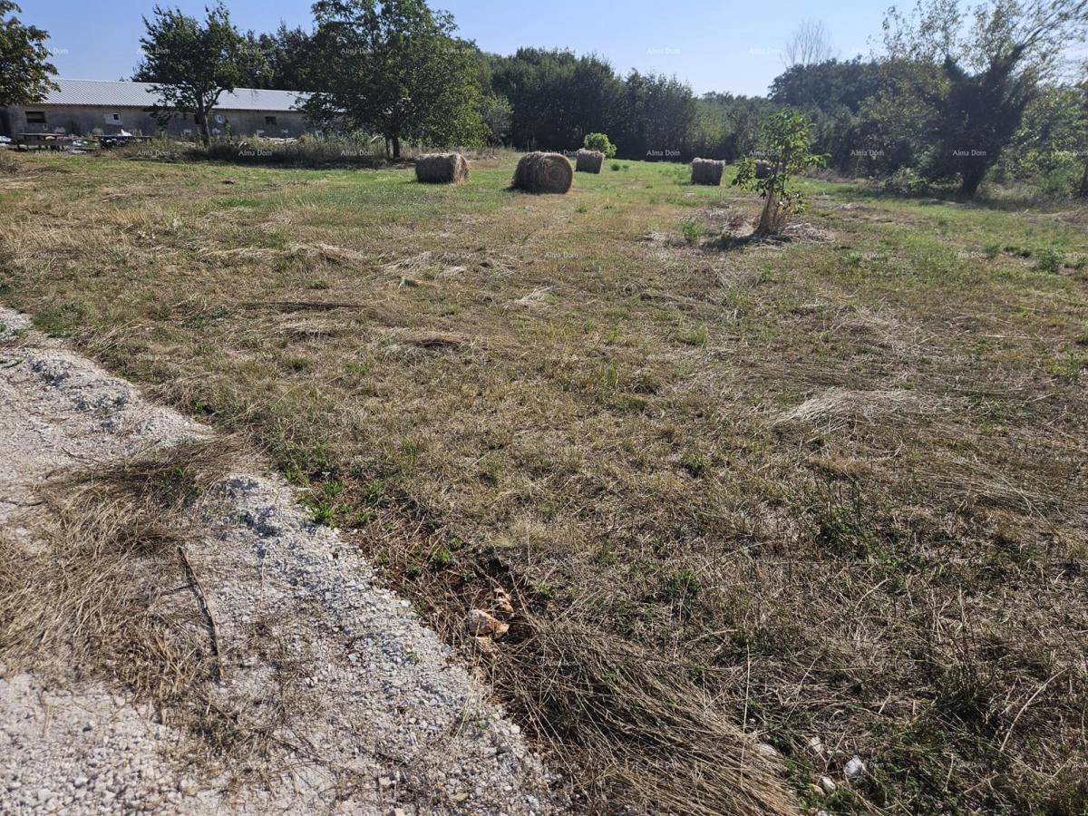 Prodaja gradbenega zemljišča, Žminj