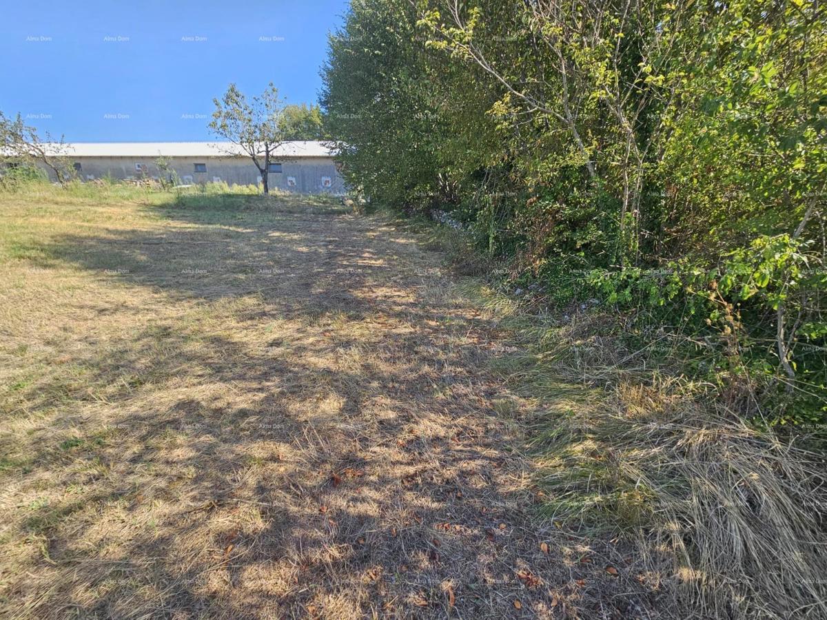 Prodaja gradbenega zemljišča, Žminj