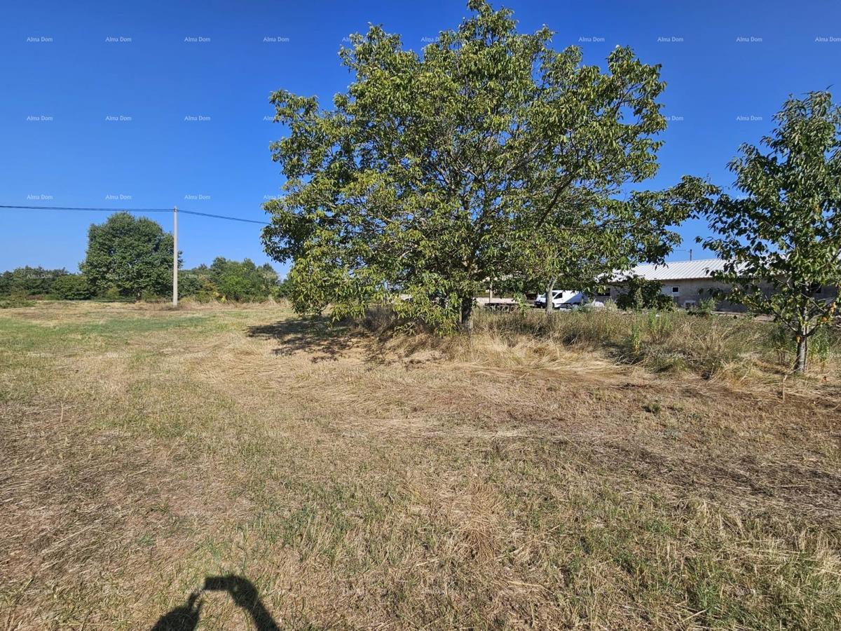 Prodaja gradbenega zemljišča, Žminj