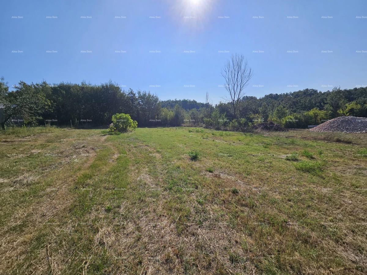 Prodaja gradbenega zemljišča, Žminj