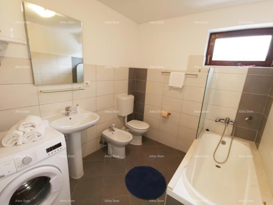 NAPRODAJ: Prenovljena hiša z bazenom in prostorno parcelo 3865 m² pri Buzetu!