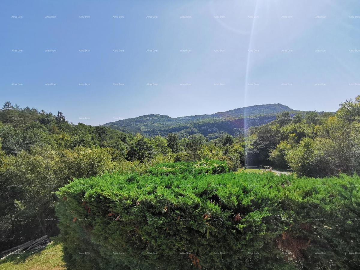 NAPRODAJ: Prenovljena hiša z bazenom in prostorno parcelo 3865 m² pri Buzetu!