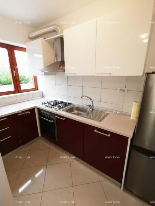 NAPRODAJ: Prenovljena hiša z bazenom in prostorno parcelo 3865 m² pri Buzetu!