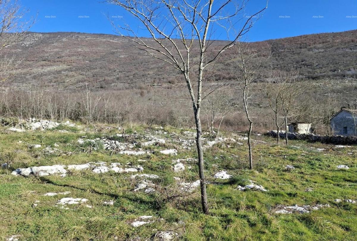 KRŠAN, Gradbeno zemljišče ob vznožju Naravnega parka Učka - več parcel s pogledom na naravo