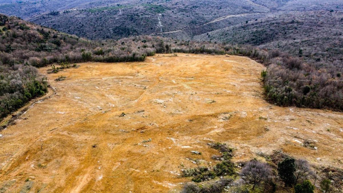 Projektna cona s pogledom na morje — Istra