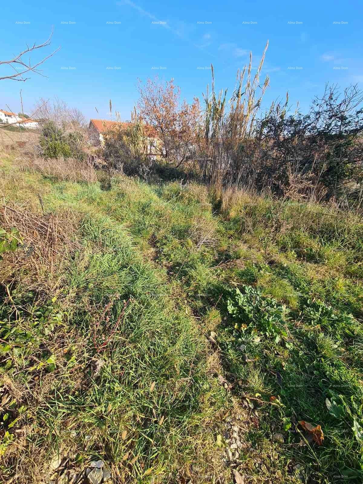 Građevinsko zemljišče Vintijan – 800 m2 – ob cesti