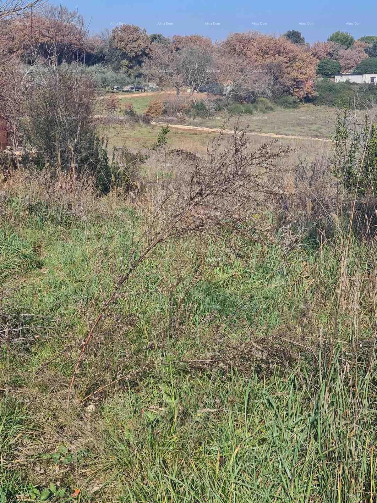 Građevinsko zemljišče Vintijan – 800 m2 – ob cesti